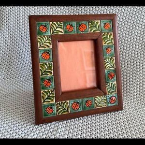 Ladybug Picture Fram